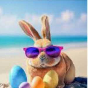 Meet your Posher, Barb